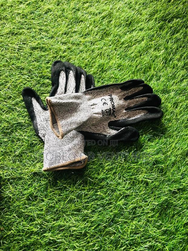 Promac Gloves photo 3