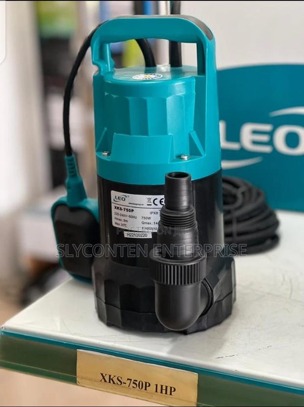 Leo 1hp Submersible Water Pump · Photo 4