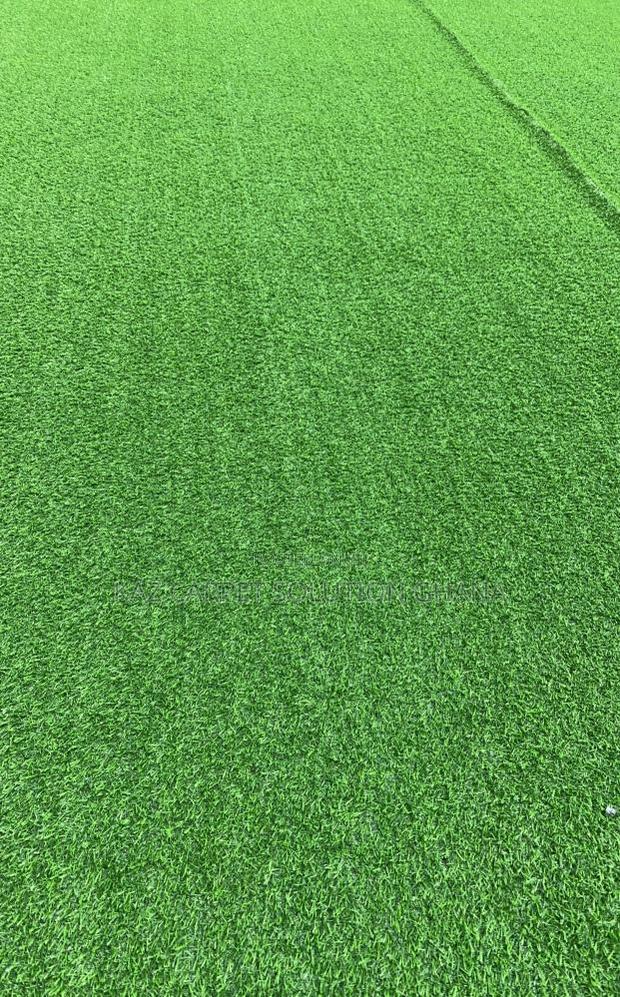 20 Mm Grass Carpet/Turf