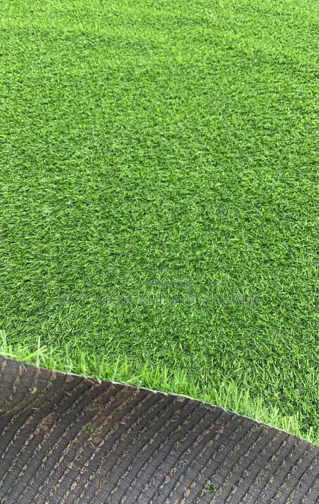 20 Mm Grass Carpet/Turf photo 2