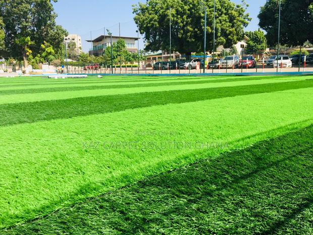 Fifa Approved Stem/Football Grass photo 3