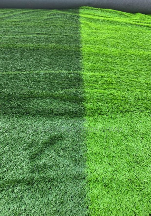 Fifa Approved Stem/Football Grass photo 2