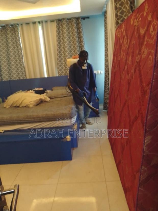 Bedbugs Fumigation Service · Photo 4