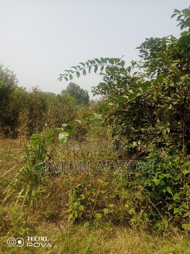 5000 Acres of Farm Land for Sale or Long Lease