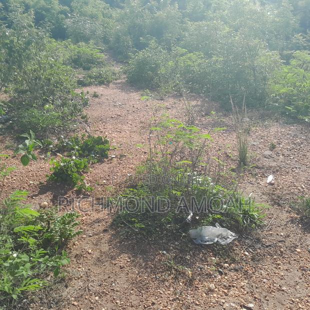 Half Plot for Sale at Saint John's · Photo 1