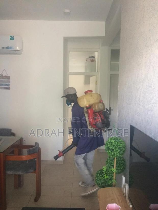 Bedbugs Pest Control Service Available Now · Photo 4