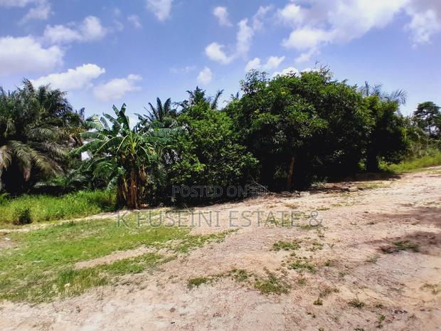 Land for Sale at Tech Ayigya Close to KNUST photo 6
