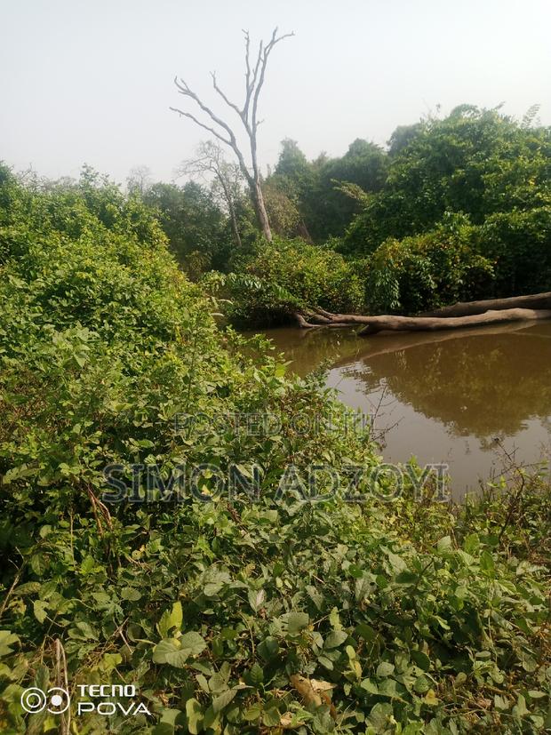 We Have Gold Mining Concession For Sale Of Partnership