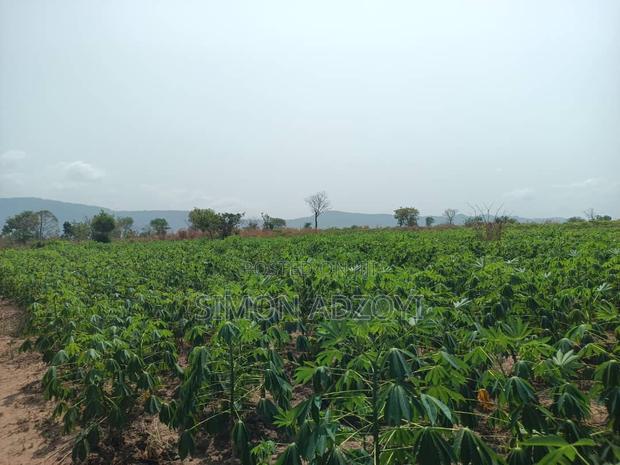 100,000 Acres of Farm Land for Sale or Lease