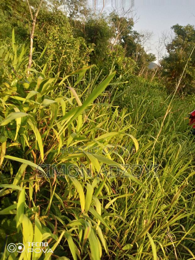 100,000 Acres of Farm Land for Sale or Lease