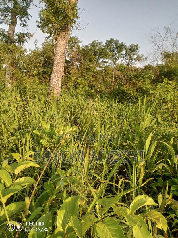 100,000 Acres of Farm Land for Sale or Lease