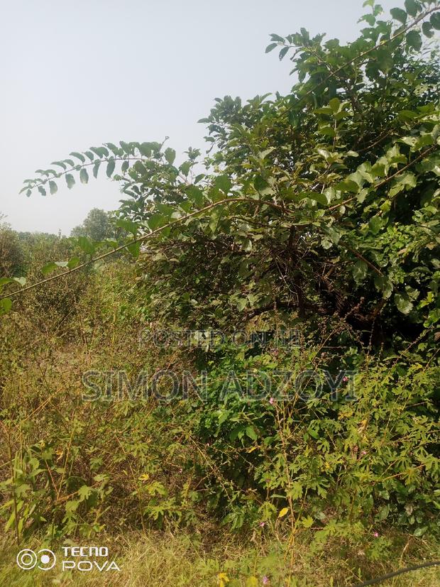 100,000 Acres of Farm Land for Sale or Lease