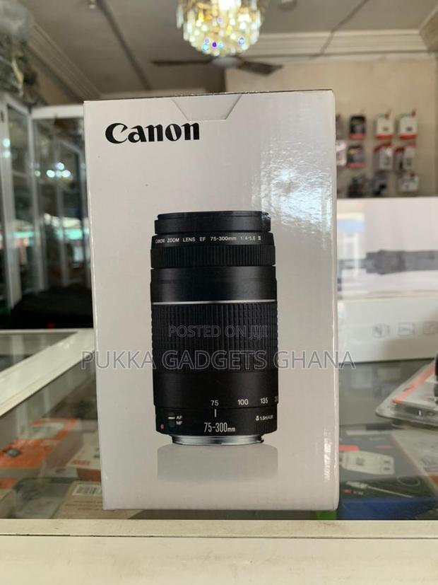 Canon Ef 75-300mm Lens · Photo 3