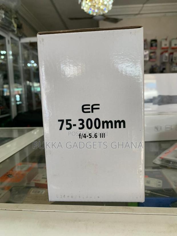 Canon Ef 75-300mm Lens · Photo 4