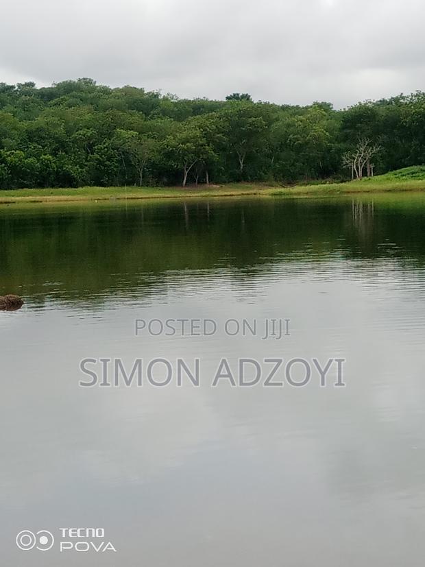 2 Acres of River Front Land