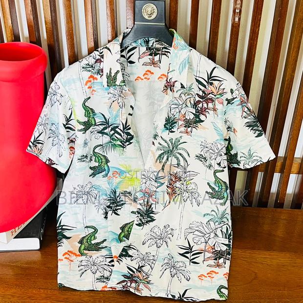 Original Summer Shirts Available in Stock
