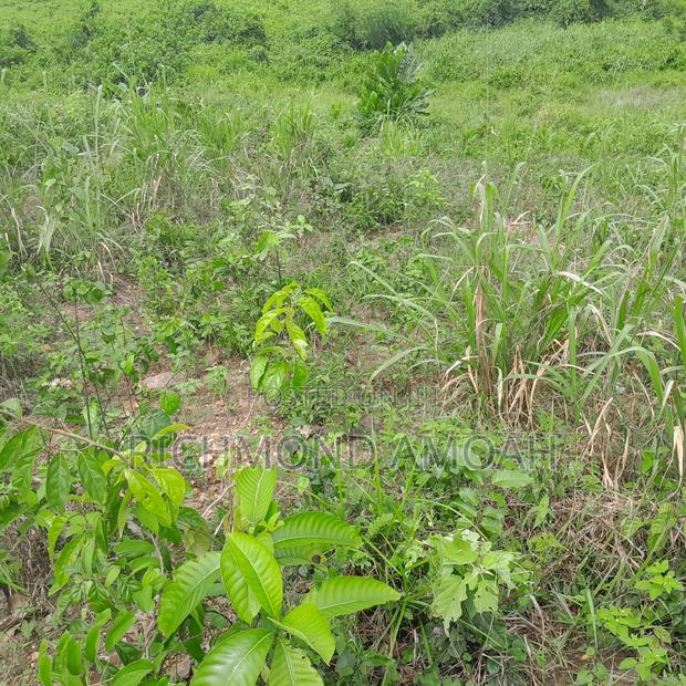 Plot for Sale at Kansa City · Photo 1