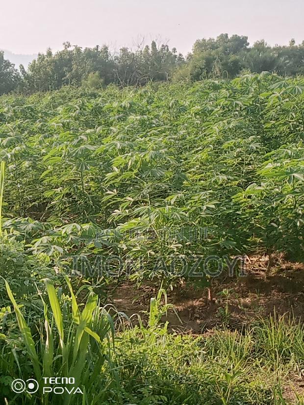 1000 Acres of Farmland