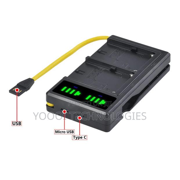 Dual Sony NPF Battery Charger photo 2