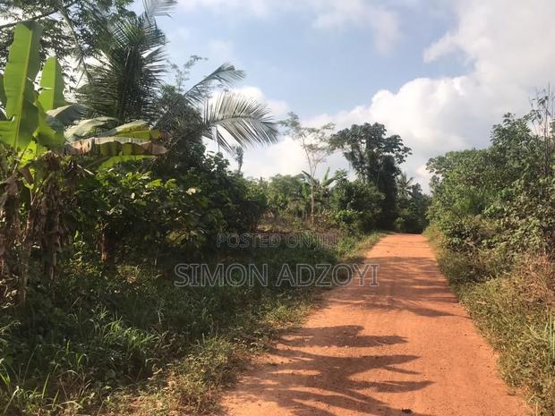 20,000+ Farm Land Registered in Asamankese for Sale Freehold