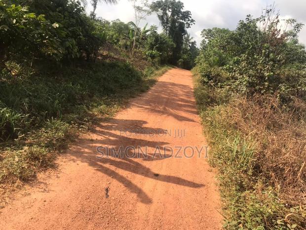 20,000+ Farm Land Registered in Asamankese for Sale Freehold