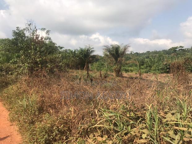 20,000+ Farm Land Registered in Asamankese for Sale Freehold
