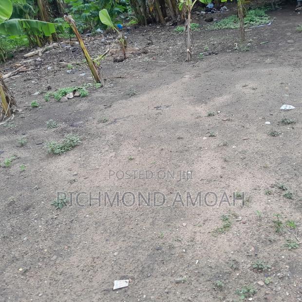 Half Plot for Sale at Queen of Peace Inside · Photo 1