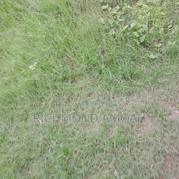 Half Plot for Sale at Queen of Peace Inside · Photo 2