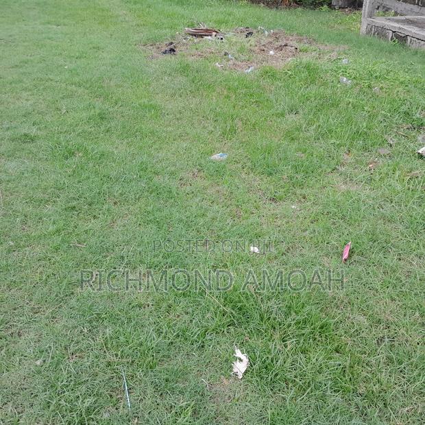 Half Plot for Sale at Queen of Peace Inside · Photo 3