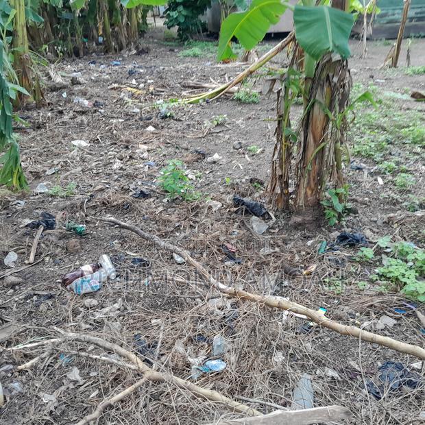 Half Plot for Sale at Kansa City · Photo 2