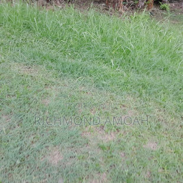 Half Plot for Sale at Kansa City · Photo 3