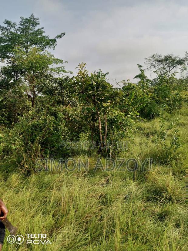 130,000 Acres of Farm Land for Sale or Lease