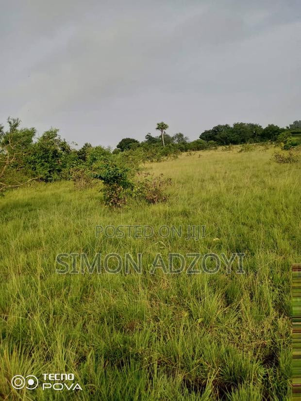 130,000 Acres of Farm Land for Sale or Lease