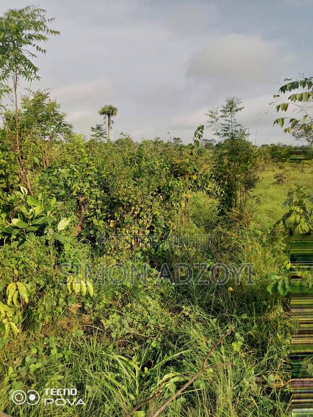 130,000 Acres of Farm Land for Sale or Lease