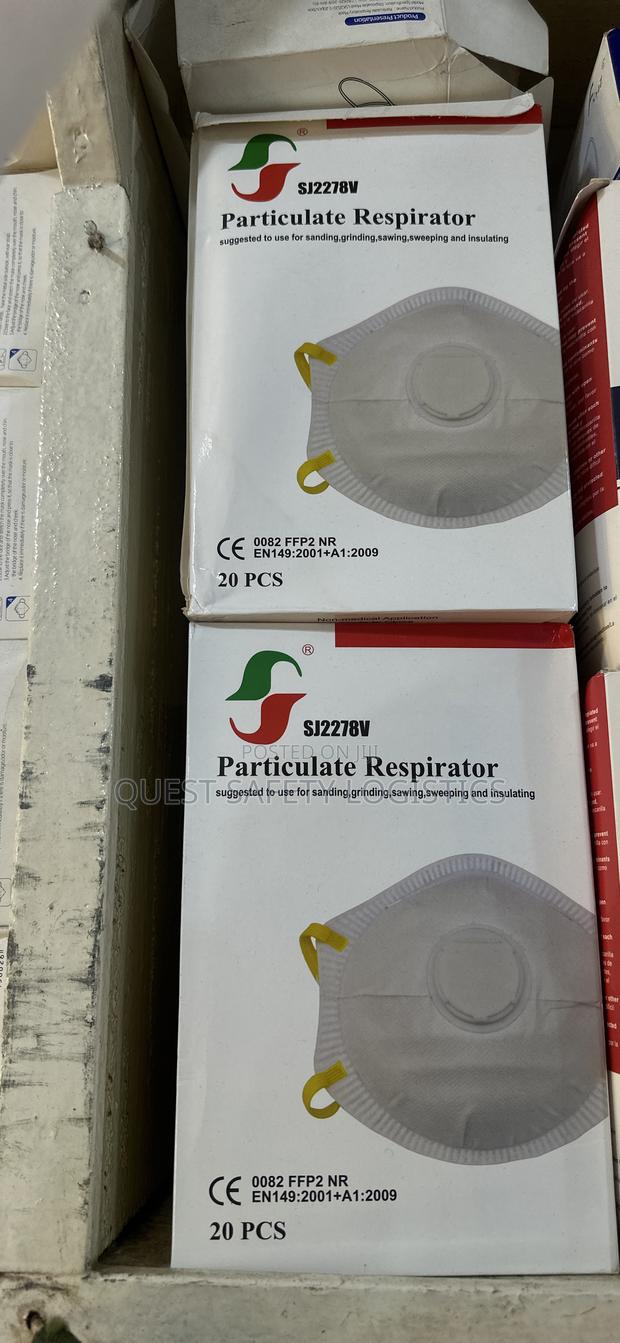 Ffp2 Dust Mask · Photo 4