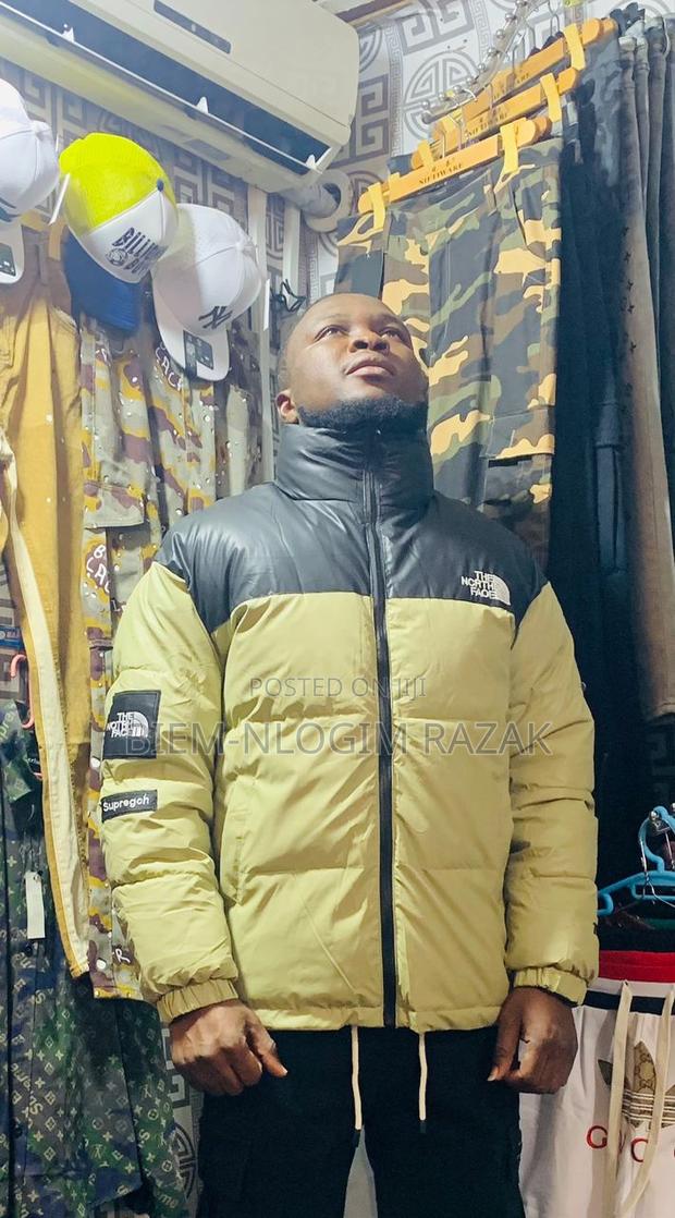 High Quality North Face Winter Jackets Available in Stock · Photo 4