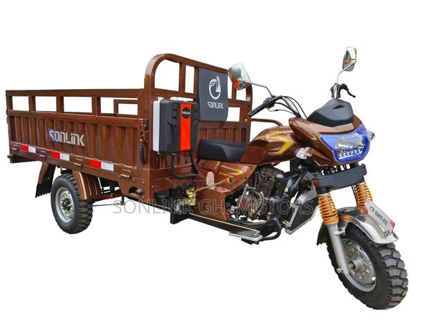 New Sonlink SL200ZH-SC 2024 Brown · Photo 2
