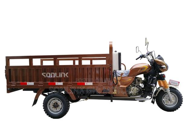New Sonlink SL200ZH-SC 2024 Brown · Photo 3