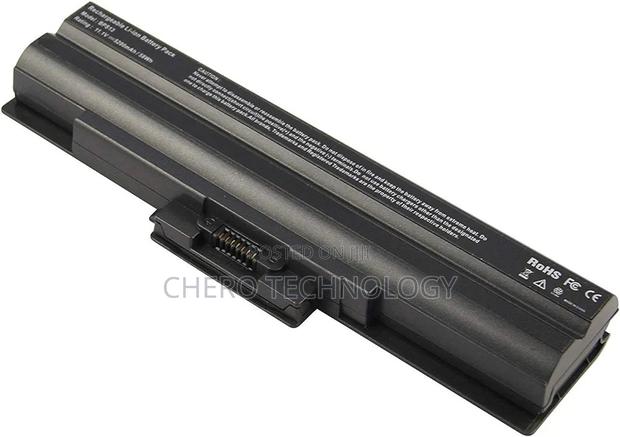 SONY Vaio Battery (Bps13) · Photo 2