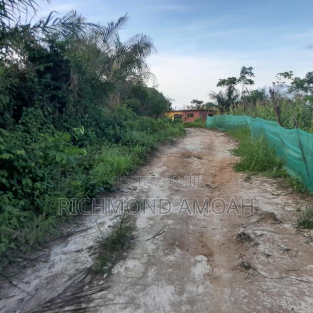 Full Plot for Sale at Apowa Skylimit Road · Photo 1