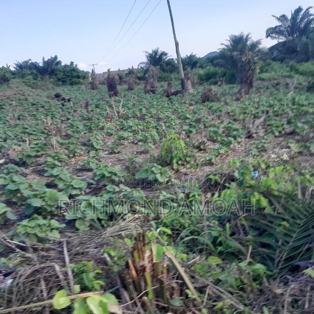 Full Plot for Sale at Apowa Skylimit Road · Photo 2