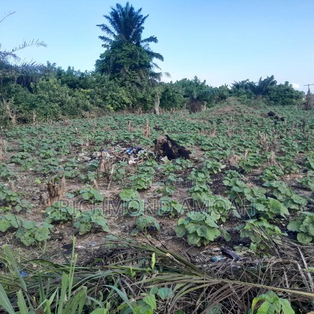 Full Plot for Sale at Apowa Skylimit Road · Photo 3