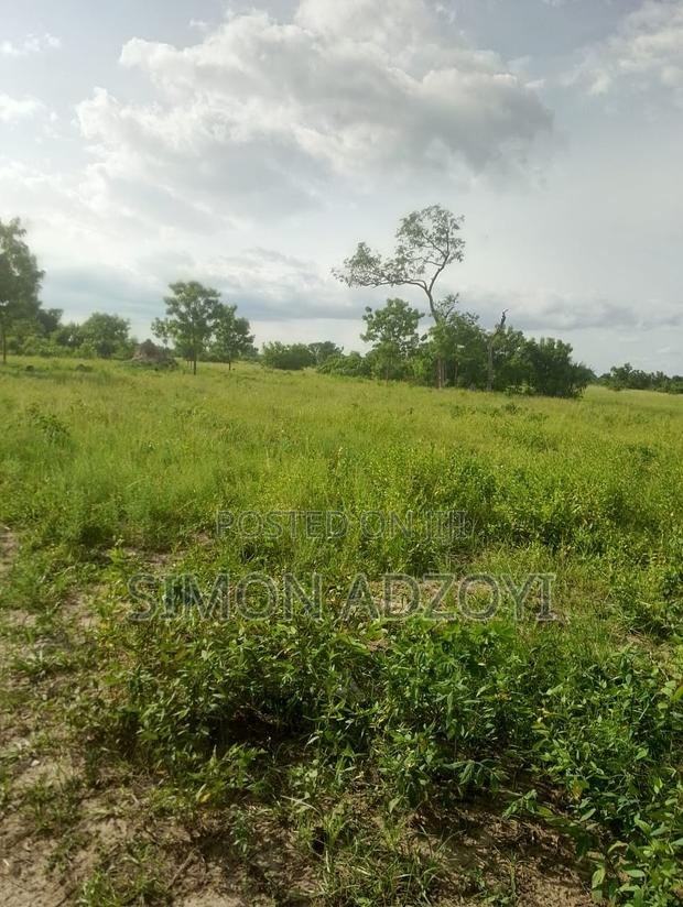 20,000 Acres of Farm Land for Sale