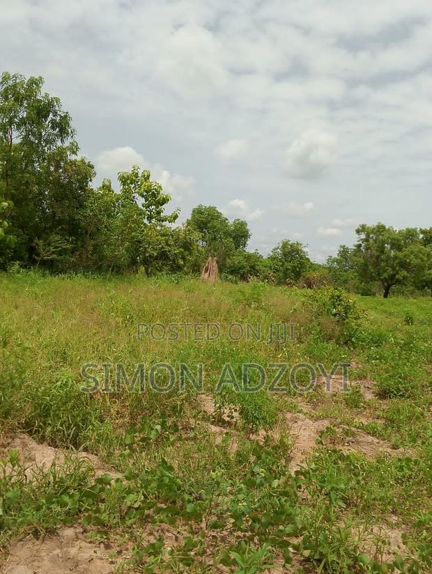 20,000 Acres of Farm Land for Sale