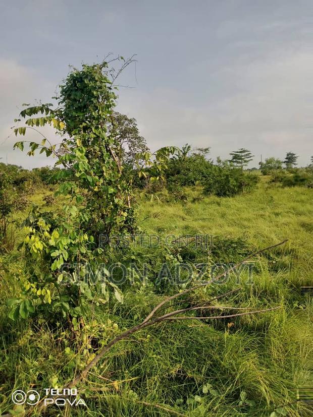 3000 Acres of Farm Land for Lease