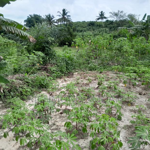 Plot for Sale at Kansa City · Photo 2