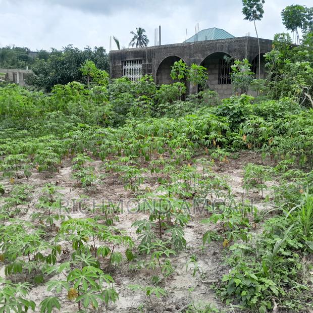 Plot for Sale at Kansa City · Photo 3