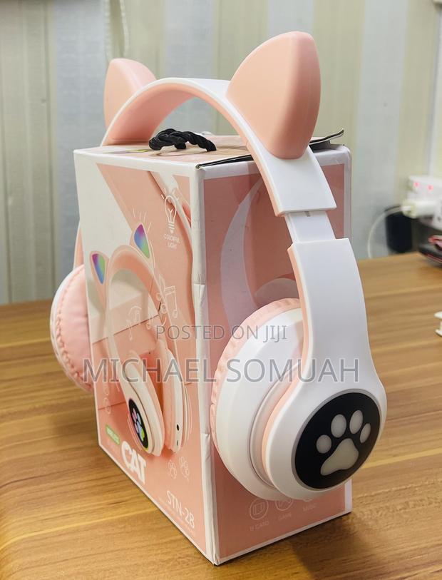 STN Cat Headset · Photo 3