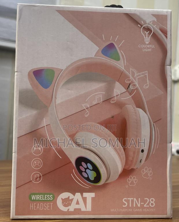 STN Cat Headset · Photo 4