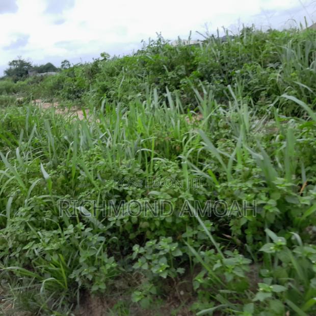 Plot for Sale at Race Course · Photo 2